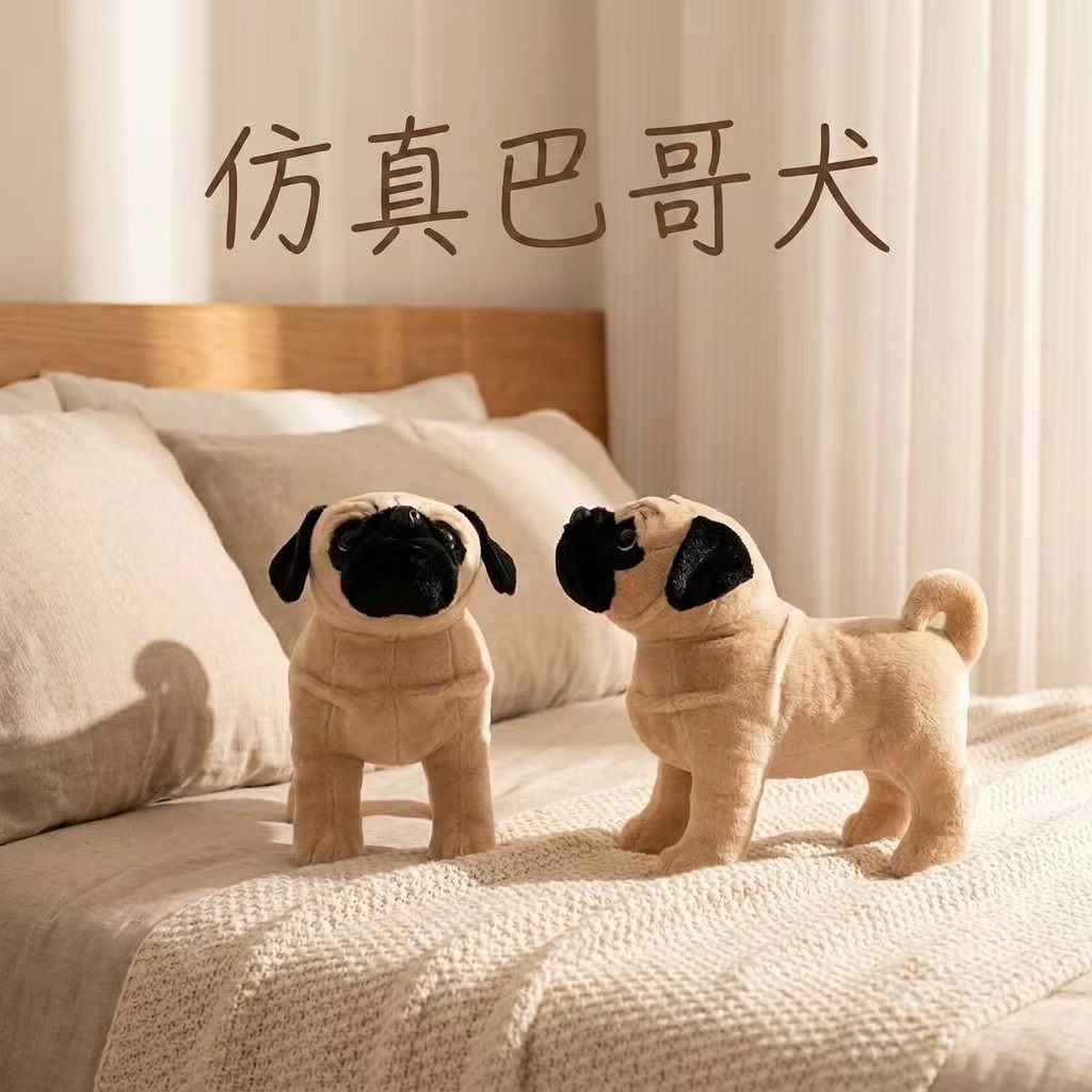 河源公仔